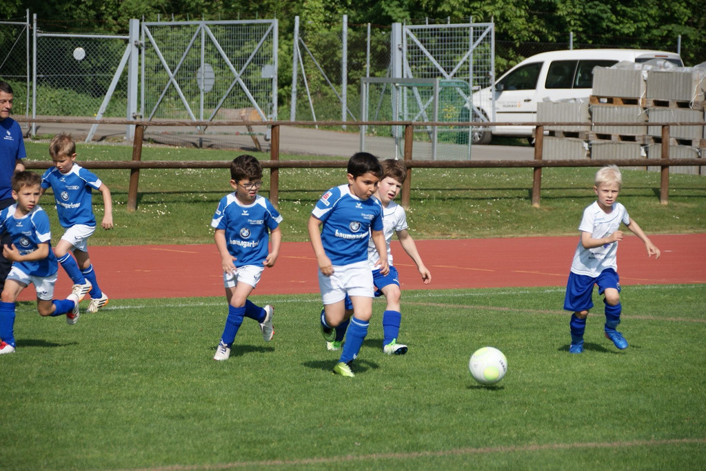 DSC08865.JPG