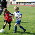 DSC08815.JPG