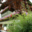 Silbertal D__nz G3.JPG