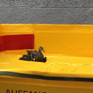 11052018__c__MA68_Lichtbildstelle _3_.jpg