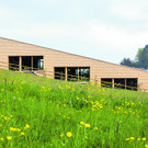 Spielwiese