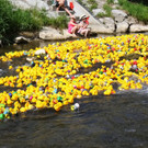 20180512fmt_entenrennen_ta_008.JPG
