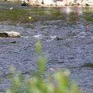 20180512fmt_entenrennen_ta_018.JPG