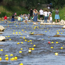 20180512fmt_entenrennen_ta_025.JPG