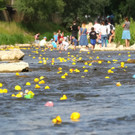 20180512fmt_entenrennen_ta_027.JPG
