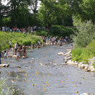 20180512fmt_entenrennen_ta_028.JPG