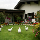 Vandans Bertel G2.JPG