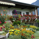 Vandans Bertel G3.JPG