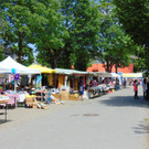 DSC06513.JPG