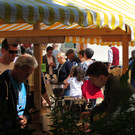 IMG_5742.JPG