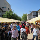 IMG_5761.JPG