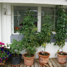 Bildstein Reindl G DSC01748.JPG