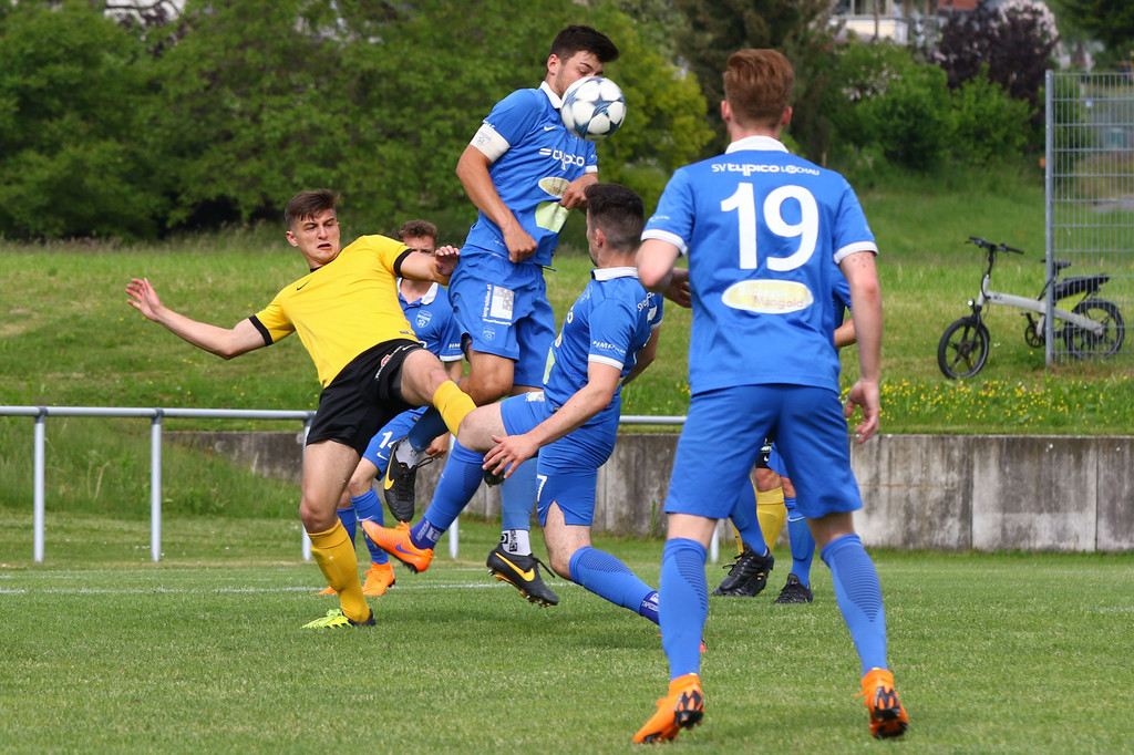 2018-05-12_0055_bearbeitet-1.jpg