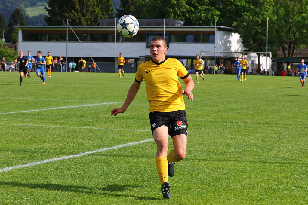 2018-05-12_0325_bearbeitet-1.jpg