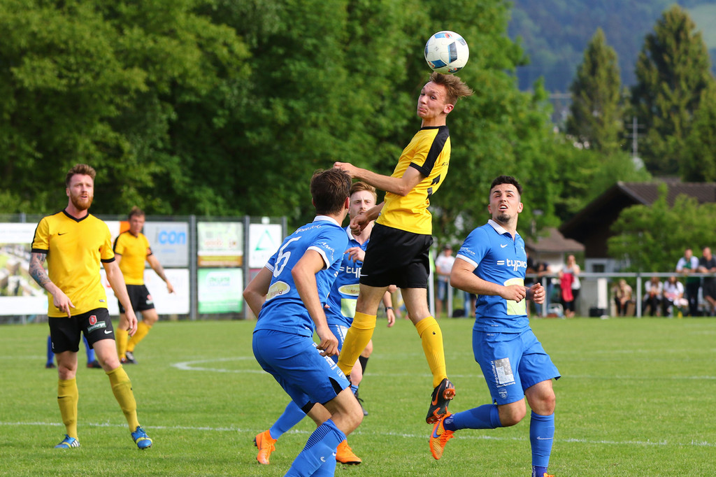 2018-05-12_0402_bearbeitet-1.jpg