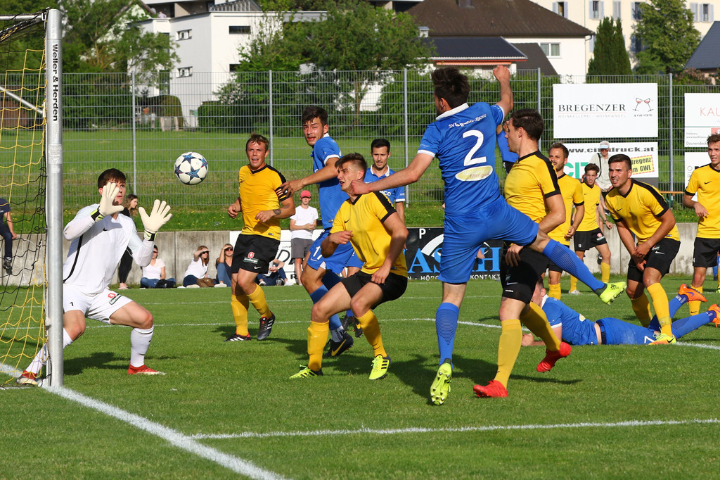 2018-05-12_0736_bearbeitet-2.jpg