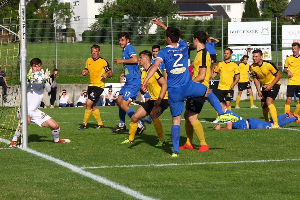 2018-05-12_0737_bearbeitet-1.jpg