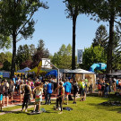 Klosterneuburg Triathlon _2_.jpg