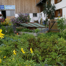 Bildstein Winder Ingel G DSC01754.JPG