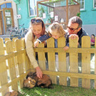 Kaninchen und Geflügel bei der Villa K