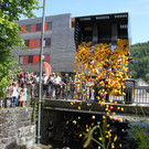 Black-River Duck-Race