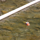 IMG_8695.JPG