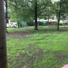 IMG_6229.JPG