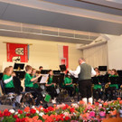 Muttertagskonzert HM Stallehr-Bings-Radin 2018 _6_.jpg