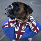 Britain_Royal_Wedding_54818.jpg