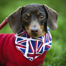 Britain_Royal_Wedding_58258.jpg