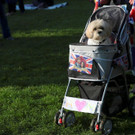 AFP_1554P8.jpg