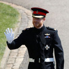 AFP_1556NS.jpg