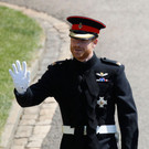 AFP_1556NS _1_.jpg