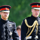 AFP_15572S.jpg