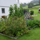 Dornbirn F____ler G DSC01737.JPG