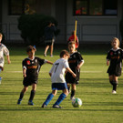 DSC09087.JPG