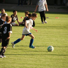 DSC09112.JPG