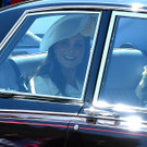 AFP_1557GO.jpg