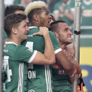 steffen hofmann rapid.jpg