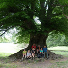 2018_05_12 NF Regitzerspitz.jpg