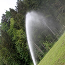 IMG_0711.JPG
