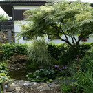 Hard Gruber G DSC01855.JPG