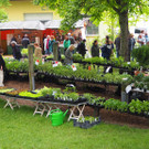 P5201319.JPG