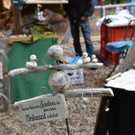 DSC_0073.JPG