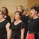DSC_0101 - Kopie.JPG