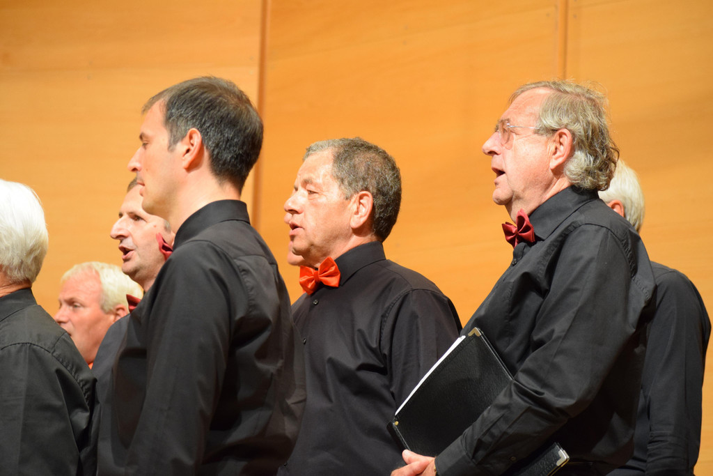 DSC_0102 - Kopie.JPG