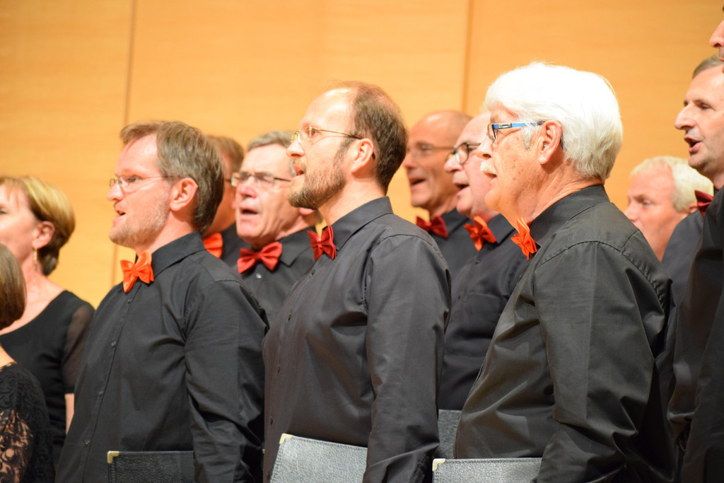 DSC_0103 - Kopie.JPG