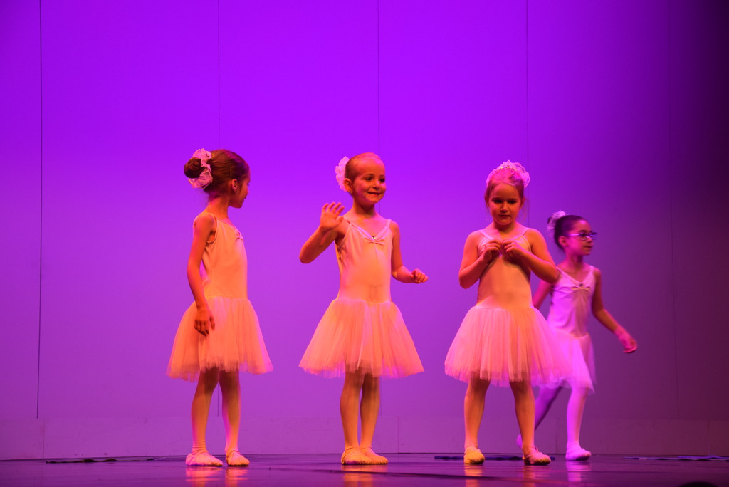 DSC_0029 - Kopie.JPG