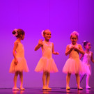 DSC_0029 - Kopie.JPG