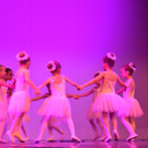 DSC_0031 - Kopie.JPG